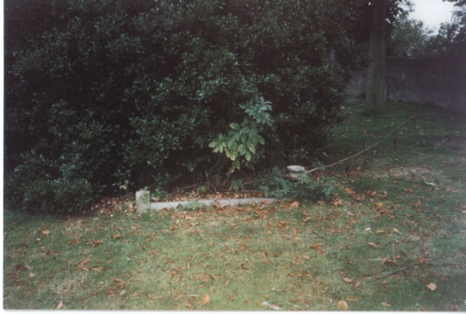 William Chiddicks Grave