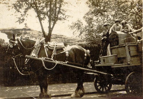 Horse and cart