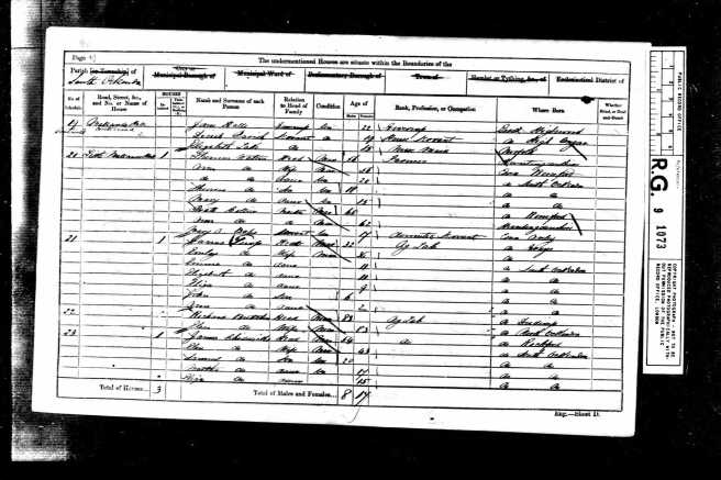 Elizabeth Lake Census Return 1861