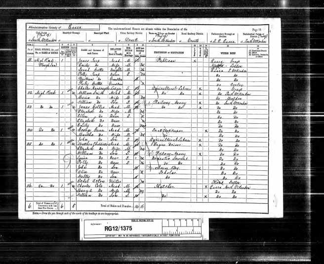 Elizabeth Lake Census Return 1891