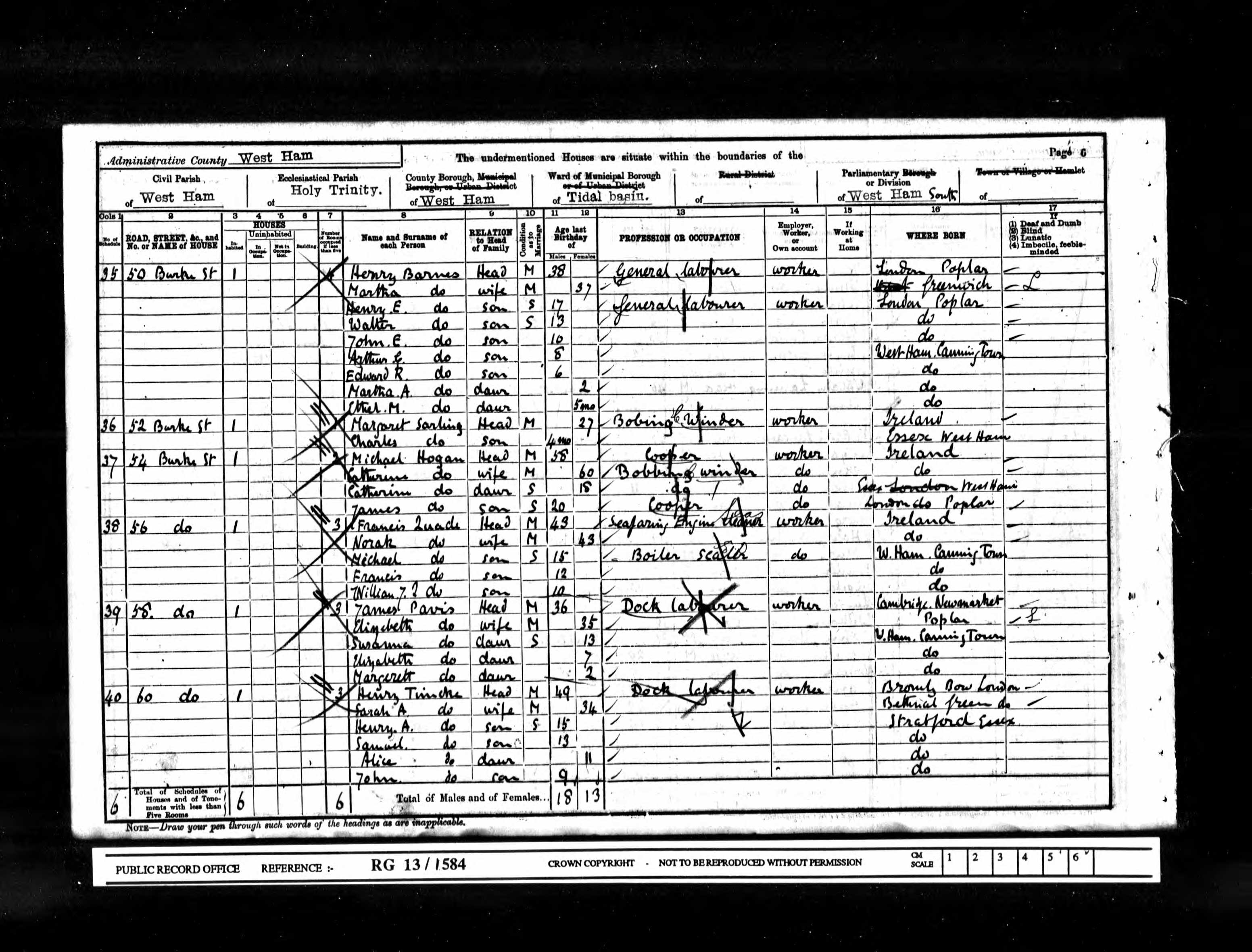 John Edwin Barnes Census Return 1901