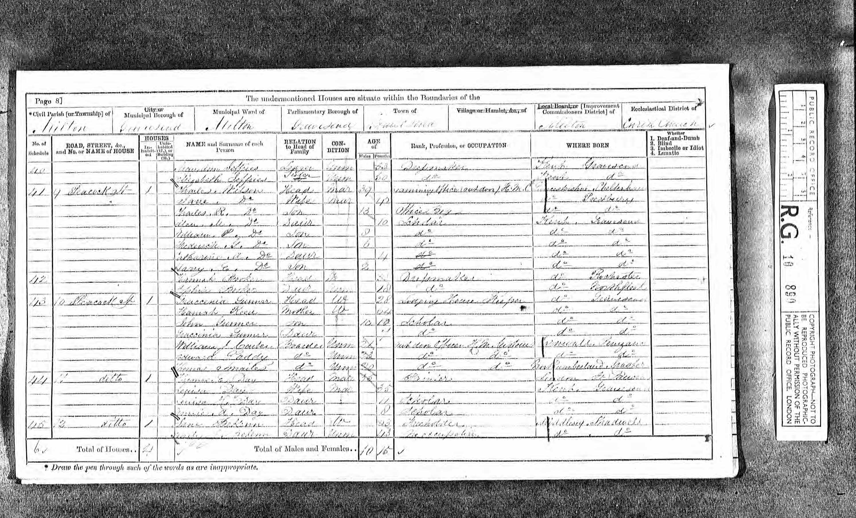 Thomas Elisha Day Census Return 1871