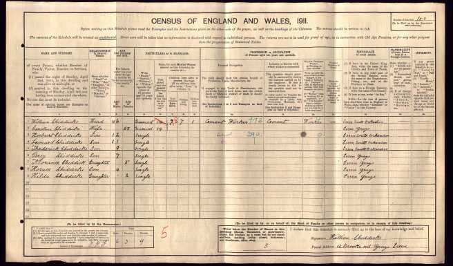 William Chiddicks Census Retunr 1911