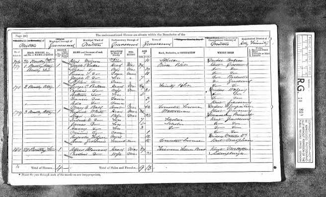 Emma Sophia Lukes Census Return 1871