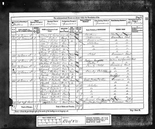 Emma Sophia Lukes Census Return 1881