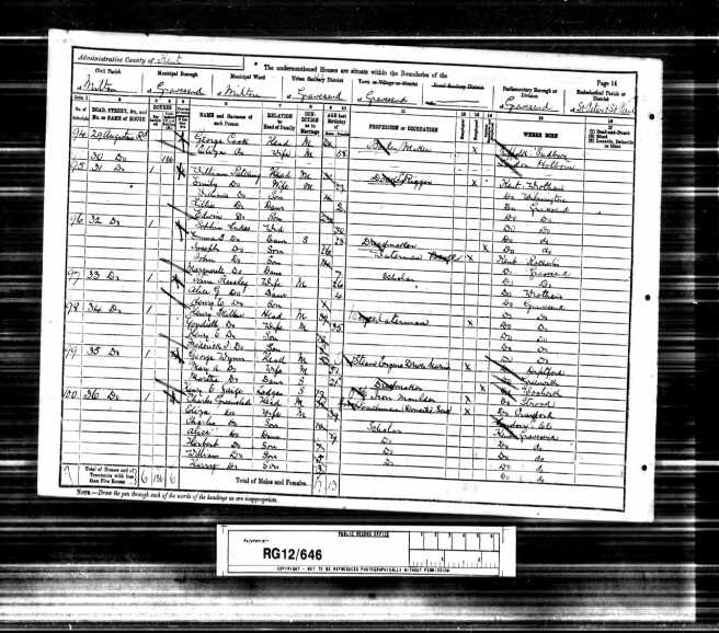 Emma Sophia Lukes Census Return 1891
