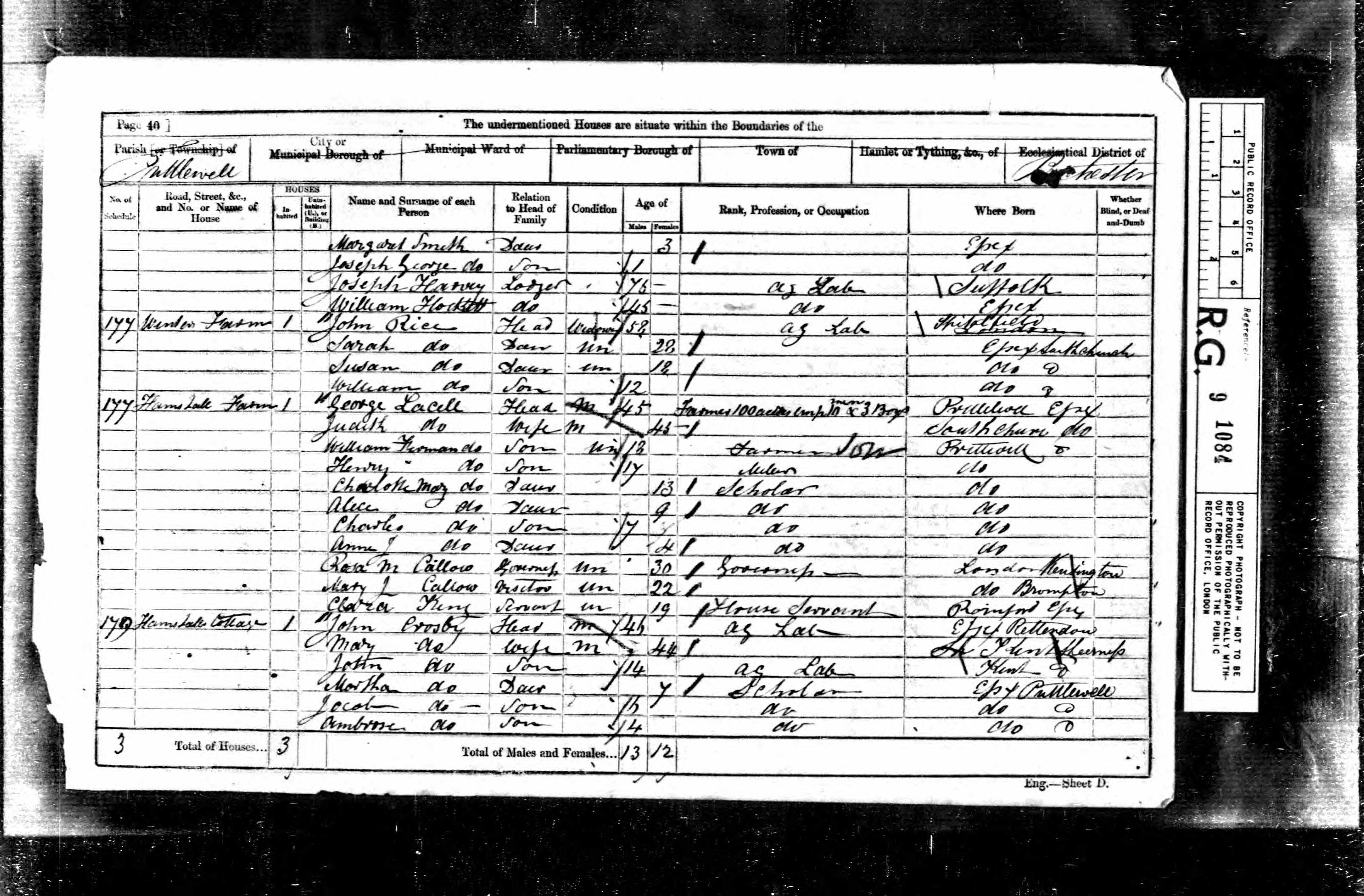 Clara King:Bishop 1861 Census