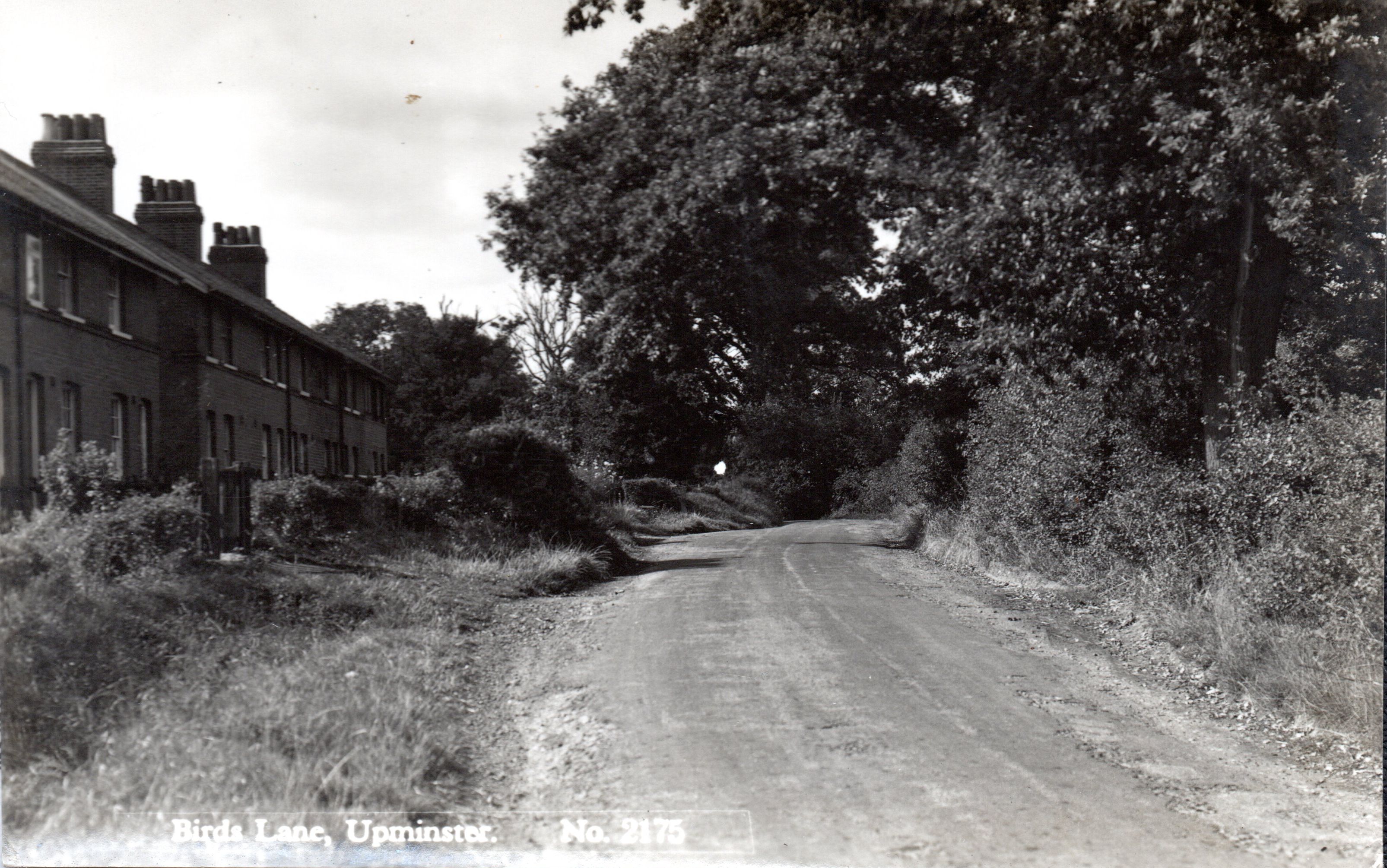 Bird Lane cottages