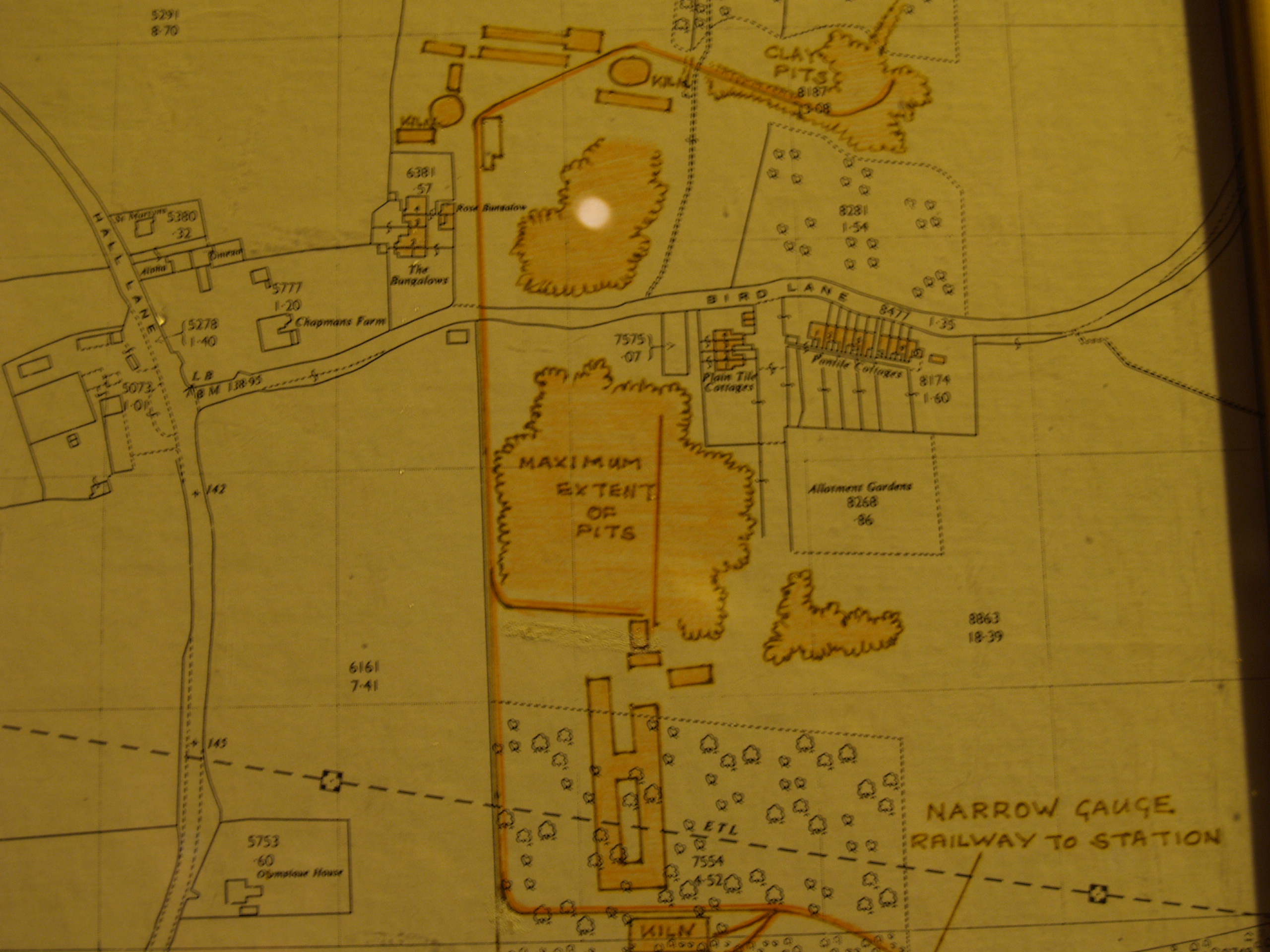 OLYMPUS DIGITAL CAMERA