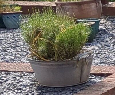 14fe1248-6187-439a-8f83-1199f19e6657