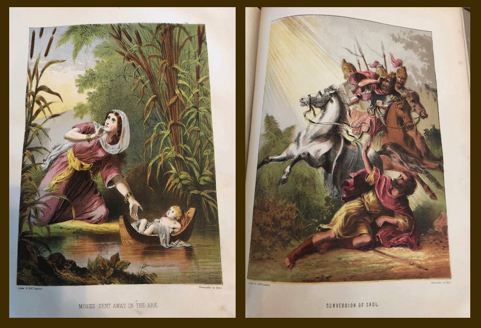 16d04a60-ec42-4695-96ad-d163b0e4c921