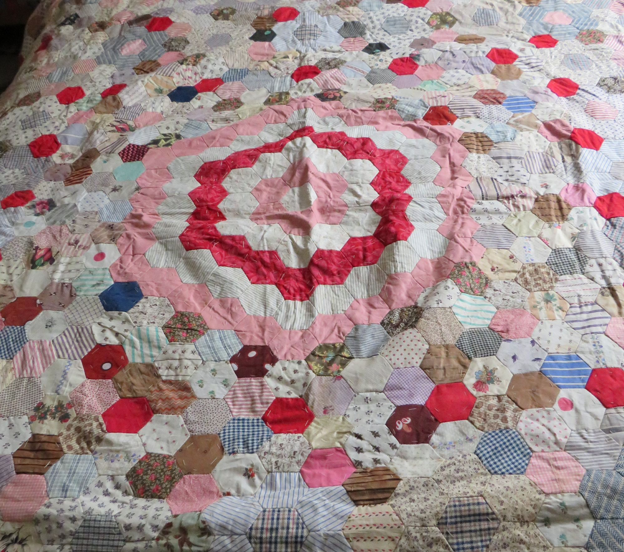 1c494ae9-b2f0-49c6-b9df-835377cc4e6d