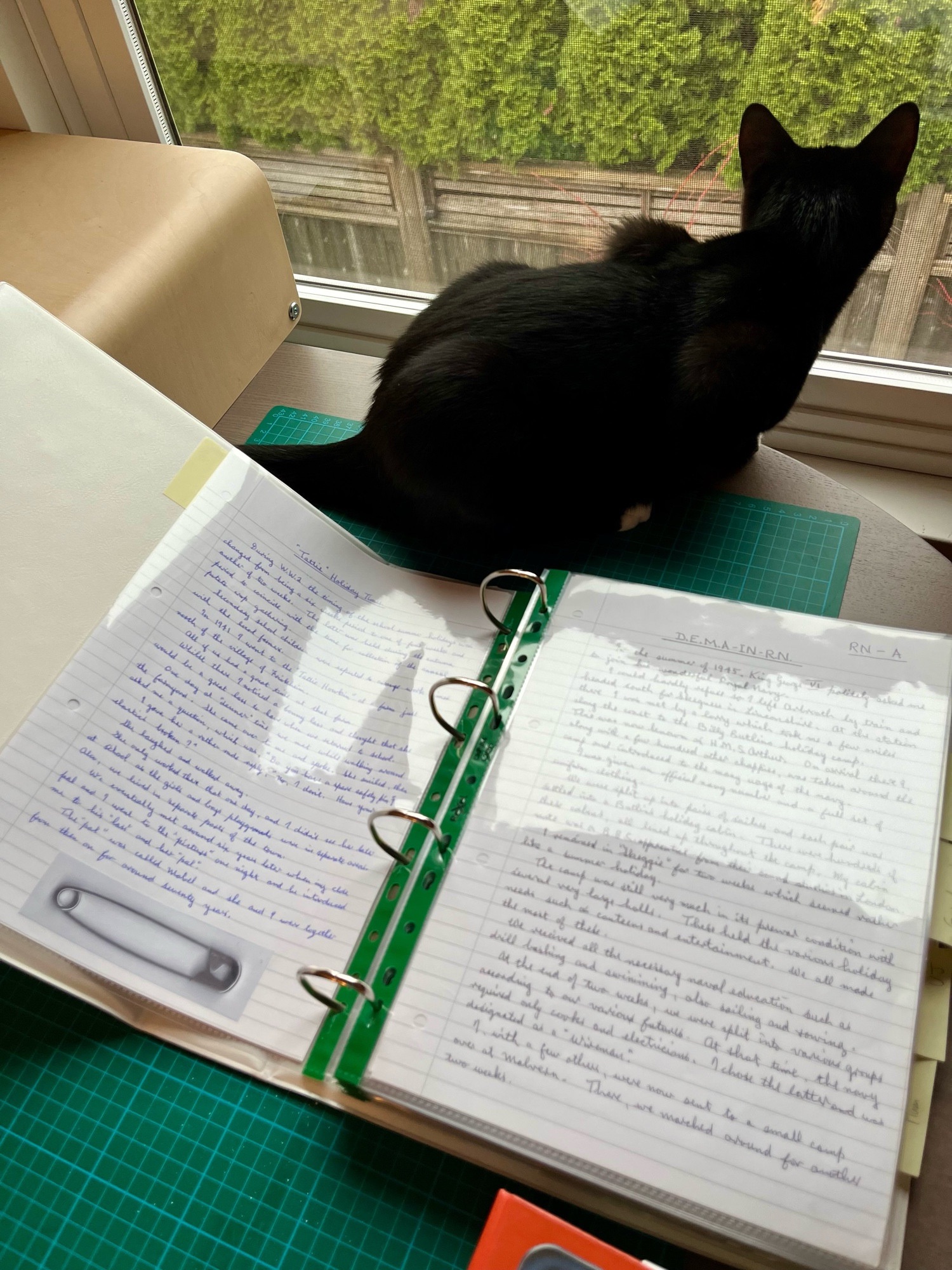 93d81043-b72b-44d8-83d3-35ab35293d61